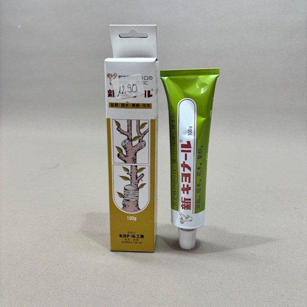KIYONAL-Wundverschluss - Paste Kaneshin