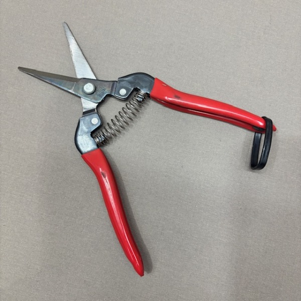 ARS 300L Floristenschere, spitze Klinge – Bild 2
