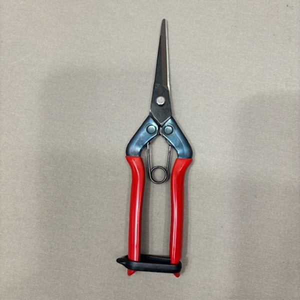 Chikamasa T570 Floristenschere, spitze Klinge