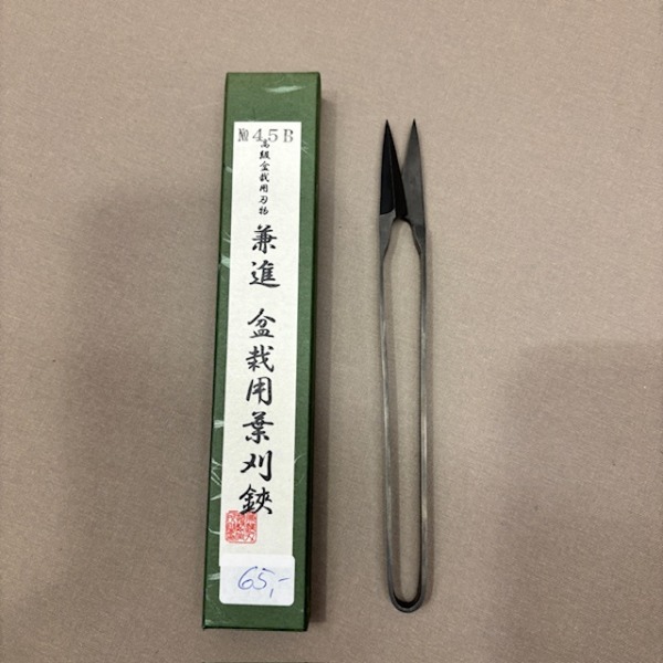 Kaneshin Blattschneider - Nigiri 185