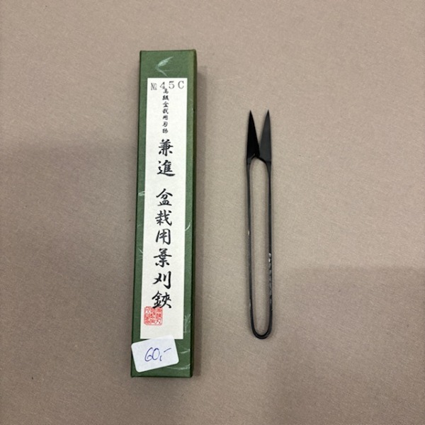 Kaneshin Blattschneider - Nigiri 145
